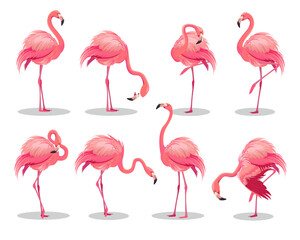 Set of realistic pink flamingos