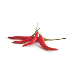 Red chilli isolate on white background.