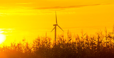 Obraz premium Wind turbines in a misty agricultural field in the countryside with a yellow sky at sunrise in summer, Almere, Flevoland, The Netherlands, August 6, 2020