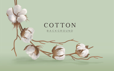 Cotton branch on a light green horizontal background