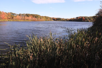 カナダのトロント郊外のハートレーク保護公園　Heart Lake Conservation Park