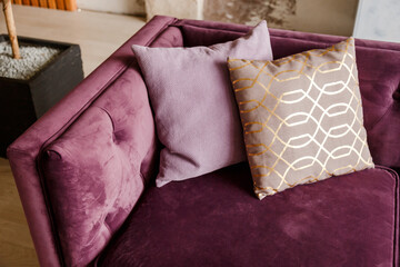 Purple velvet sofa with golden pillow in living room interior