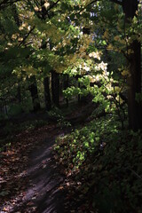 カナダのトロント郊外のハートレーク保護公園　Heart Lake Conservation Park