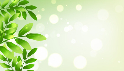 green leaves background with text space