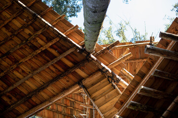 Erlebnispädagogik und Naturerlebnis im Wald, Baumhaus mit Seilen an Bäumen befestigt.