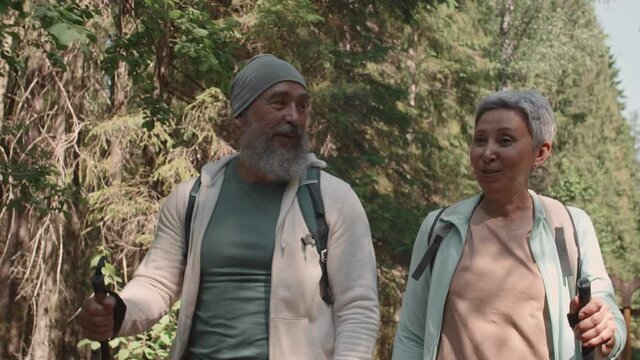 Medium shot of elderly multiethnic spouses wearing comfortable clothes are walking with ski poles in woods while talking