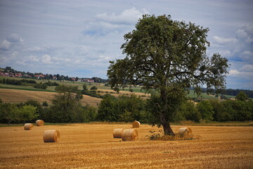 Heuernte Getreideernte Feld blauer Himmel Natur zu Hause 