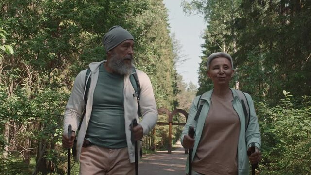 Medium shot of elderly bearded Caucasian man and his wife wearing comfortable clothes are walking with ski poles in beautiful summer forest while talking