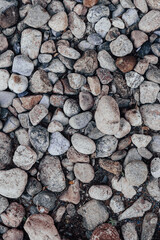 background with Shiny Wet Pebbles on Ocean Shore