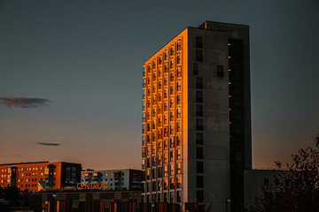 Fototapeta premium Scraper in sunset light 