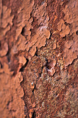 texture, cracks in the coating, vintage background