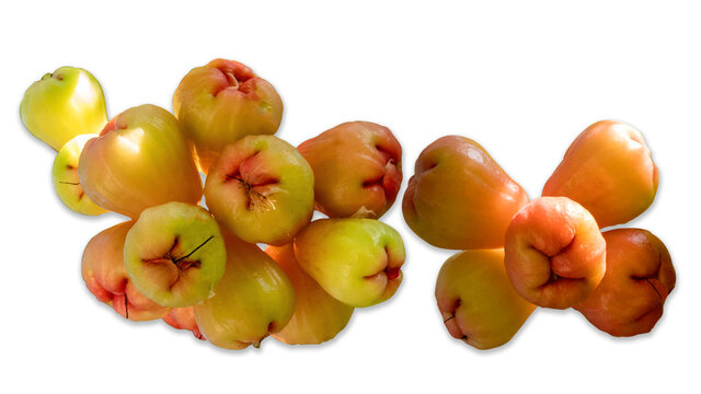 Rose apple on white background