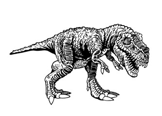 Graphical tyrannosaurus isolated on white background,vector 