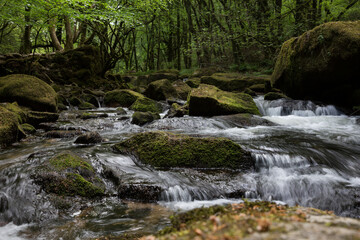 Naklejka na ściany i meble Golitha Falls cascades of River Fowey in Cornwall, UK