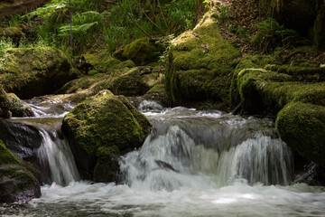 Golitha Falls cascades of River Fowey in Cornwall, UK