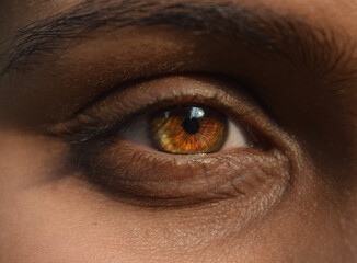 Obraz premium close up of the female eye