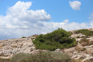 Obraz premium Calanques de Marseille