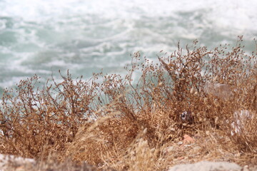 Calanques de Marseille