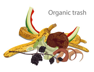 Vector Illustration of Organic Garbage.