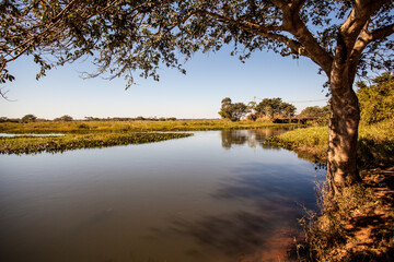 Fototapeta na wymiar Shadow of Tree at Samambaia River - Batayporã - Mato Grosso do Sul - Brazil