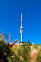 Obraz premium Praded lookout tower and television transmitter - the highest mountain of Hruby Jesenik in northern Moravia in the Czech Republic. Beautiful circular tower with a height of over 100m