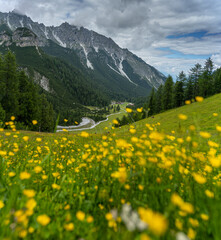 Fototapeta premium Hiking in the Alps in the Stubai Valley on summer vacation in beautiful nature, Tyrol, Austria