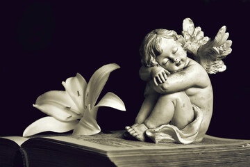 Condolence card with angel and white lily flower on open book isolated on black background