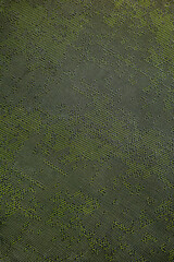 Green floor texture background.