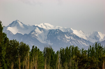 Fototapeta premium The Tian-Shan mountains in Kyrgyzstan