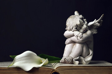 Sleeping angel and white calla lily on dark wooden background