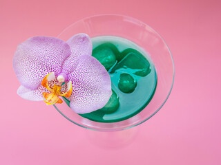 Liquid spirulina green drink with Phalaenopsis in cocktail glass on pink background. Super food, healthy lifestyle, healthy supplements concept