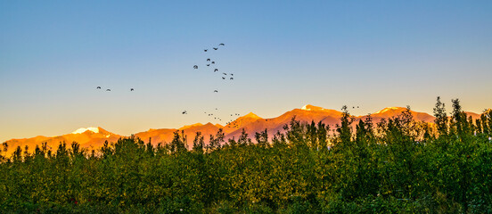Mountains Landscape, San Juan Province, Argentina