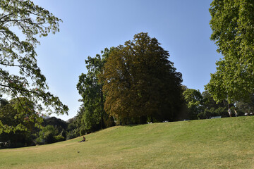 Pelouse du parc Montsouris à Paris, France