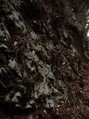 三頭山の石英閃緑岩