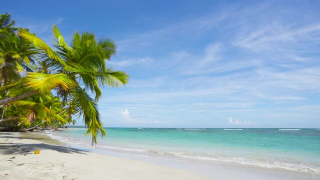 Hawaii islands wild palm beach background. Clear blue sea, white clear sand beach, palms, and sky.
