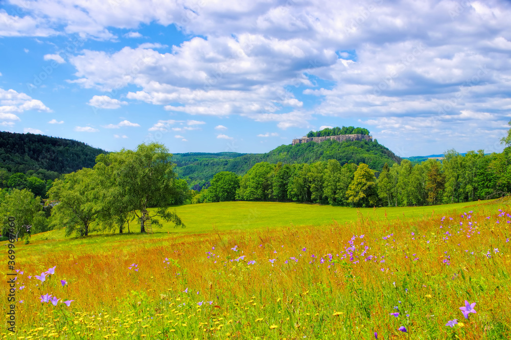 Sticker koenigstein mit blumenwiese - castle koenigstein in elbe sandstone mountains in spring