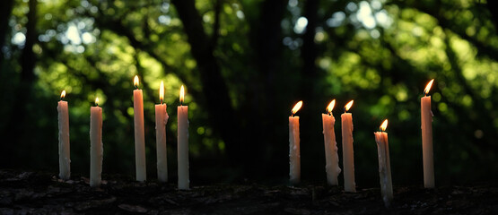 magic candles in fabulous night forest. Dark magic, witch ritual, Halloween background. mysterious...
