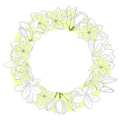 Tropical frangipani in a circle frame, empty space for text  on a white background, vector illustration