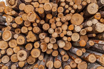 Möbelaufkleber Pile of logs texture bacgrounds © Дэн Едрышов