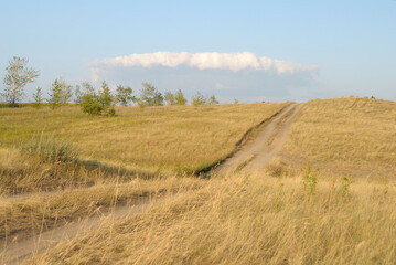 Fototapeta na wymiar Wheat and clouds