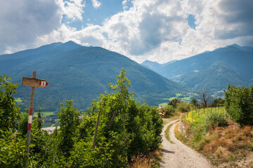 Hiking trail near Brixen, South Tyrol, Italy.