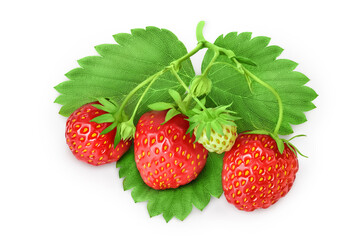 Strawberry isolated on white background. Fresh berry with clipping path and full depth of field. Top view. Flat lay