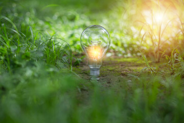 Light bulb Energy saving green nature background