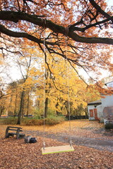 Swings on the rope in the park in fall