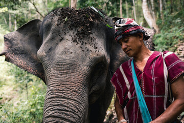 Elephant Jungle Sanctuary