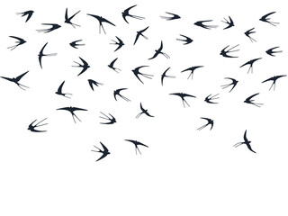 Flying martlet birds silhouettes vector illustration. Nomadic martlets swarm isolated on white. 