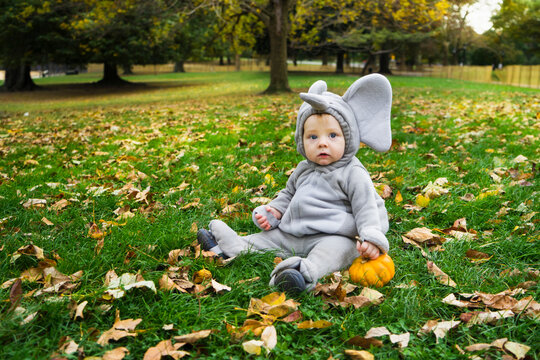 Cute baby boy in elephant costume for Halloween with pumpkin
