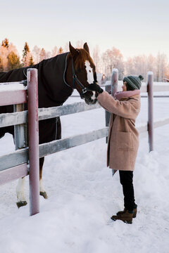 Girl stroking a horse in field.