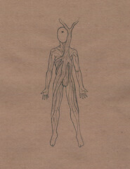 Esoteric and magic illustration of a human in graphics. Soul and body splitting with roots. Figure black pen isolated background