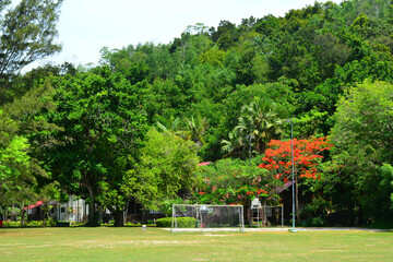 Fototapeta na wymiar Manukan Island Field in Sabah, Malaysia